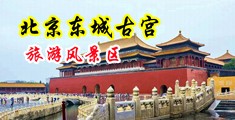 免费看的操女人逼，无遮挡中国北京-东城古宫旅游风景区